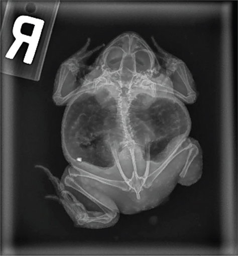 Fig 3