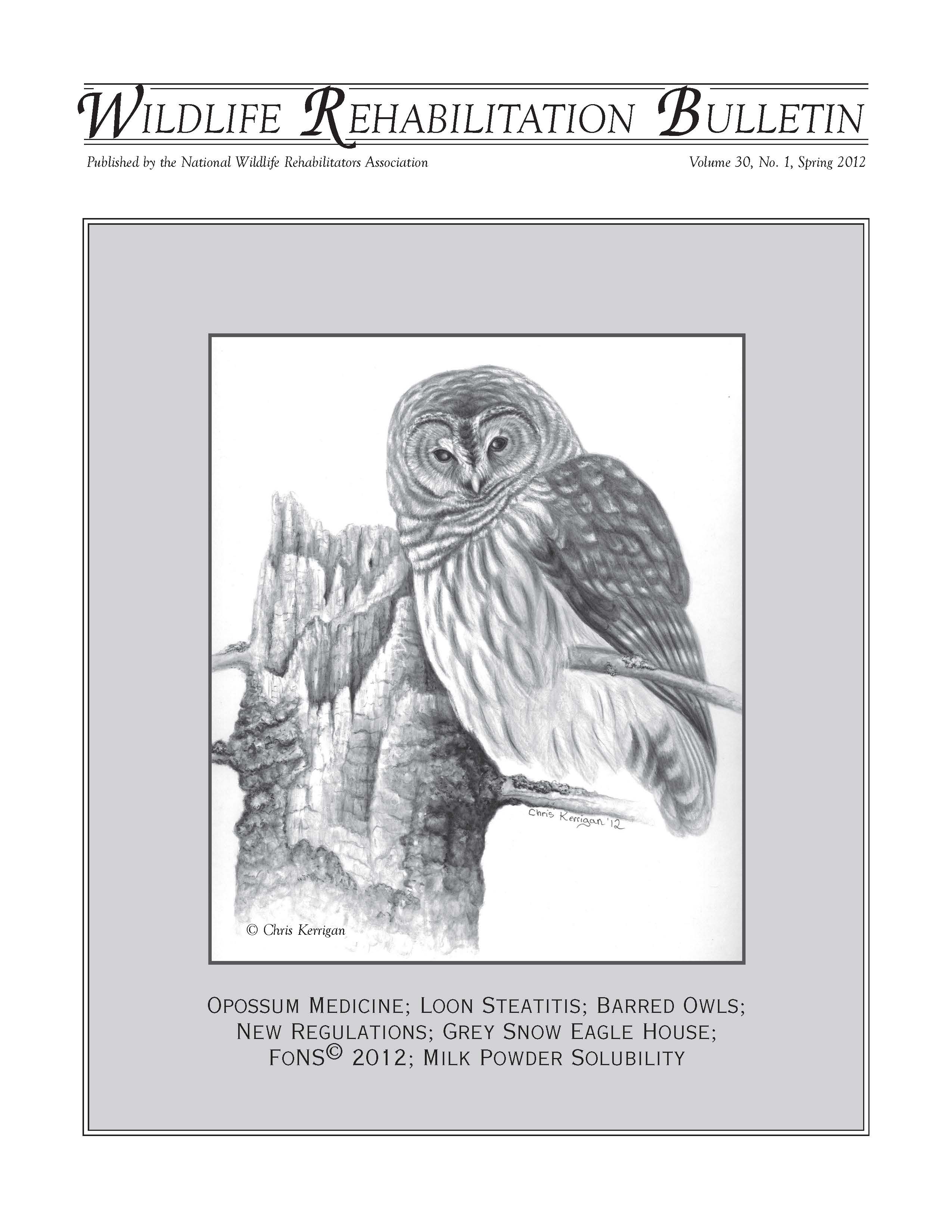 Barred Owl (Strix varia).  Artwork by Chris Kerrigan.