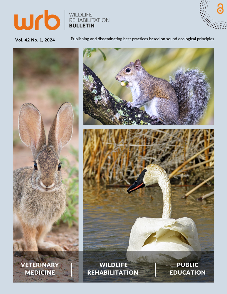 Journal cover with photographs of a desert cottontail, an eastern gray squirrel with an acorn, and a trumpeter swan