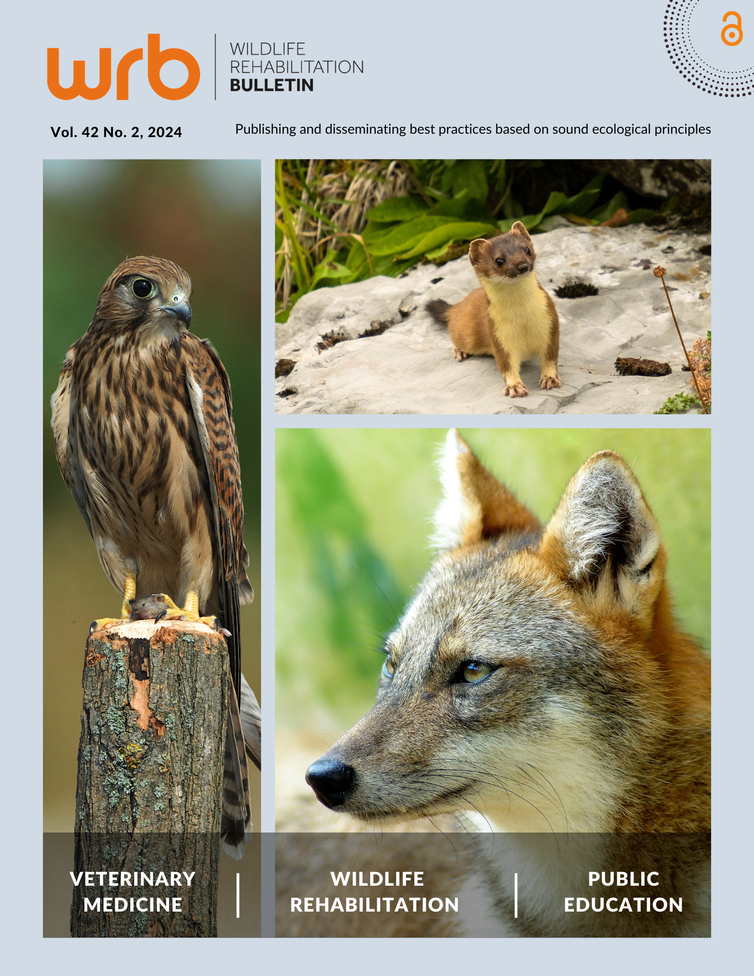 Journal cover with photographs of an American kestrel, a long-tailed weasel, and a golden jackal.